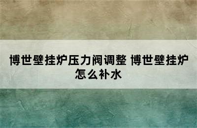 博世壁挂炉压力阀调整 博世壁挂炉怎么补水